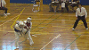 toukai (133)_samu.gif